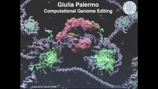Giulia Palermo : CASP SIG on Computational Genome Editing