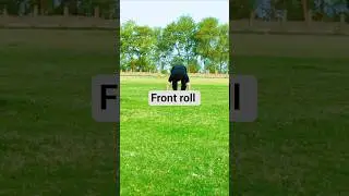 Master the Front Roll in Seconds! | Beginner Gymnastics Move#shorts