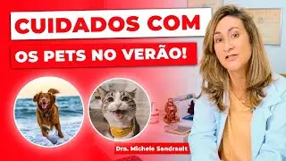 Como cuidar dos pets no ver&atilde;o? | Dra. Michele Sandrault