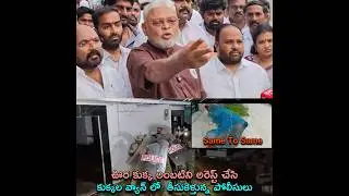 Ambati Rambabu Over Action 😂 | Ambati Rambabu Arrest #EndOfYCP #AndhraPradesh #TeluguShorts #TDP