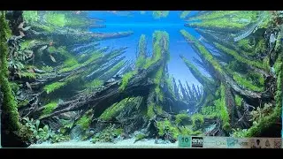 AQUASCAPE CONTEST - KALIKAN EXPO 2022 - JIEXPO (PART 3)