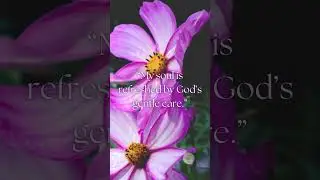 Spring Awakening Affirmations