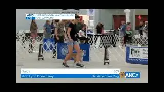 AKC Rally National Championship - Championship Class - 2025 - Sadie