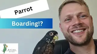 Welcome to Avian Retreats - Parrot Boarding Specialists