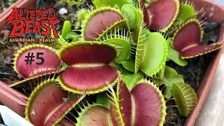 ALTERED BEAST: GUARDIAN OF THE REALMS #5 - O ATAQUE DA PLANTA CARN&Iacute;VORA!
