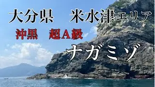 【大分県　米水津エリア】超人気磯。ナガミゾ尾長チャレンジへ