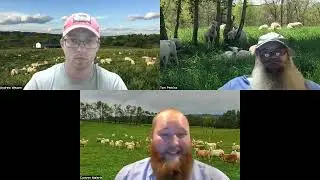 Ep 26 Discussing WFEC and PWFEC EBVs