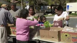 Sorting Out Organics - So You Don't Have To!