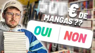VOUS CONTR&Ocirc;LEZ MES ACHATS MANGA PENDANT 24H 💰💸