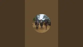 Davi Aleixo  est&aacute; ao vivo! Bom dia 🌻  ☀️