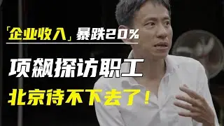 企业收入暴跌20%？马云泪喊的时代，项飙探访失业职工：北京待不下去了！ #窦文涛#马东 #许子东 #马家辉 #马未都