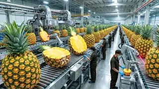 INSIDE A MODERN PINEAPPLE FACTORY: HOW WHOLE PINEAPPLES BECOME CANNED RINGS (FULL PROCESS)