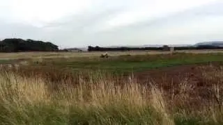 Racing at East Fortune - Supertwins and pre injection 600's