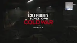 M16 IS BETTER THAN AUG (Cold War)