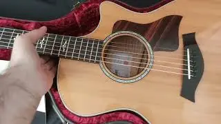 Taylor 614ce USA, обзор для Авито