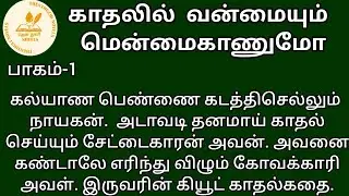 காதலில் வன்மையும் மென்மைகாணுமோ! | தேன்துளி நாவல்ஸ் | பாகம்-1 | Hanira | குரல்-கிருத்திகா செல்வராஜ்