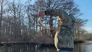 Fishing the Pocomoke River