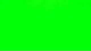 PINK FLASH GREEN SCREEN