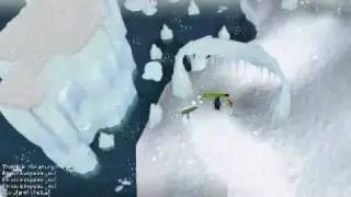 Runescape Penguin Agility Course