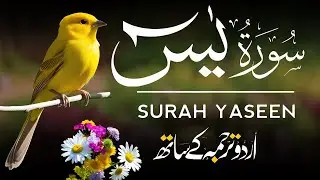 Surah Yaseen | Surah Yaseen With Urdu Translation | Al Furqan Studio | Ep069