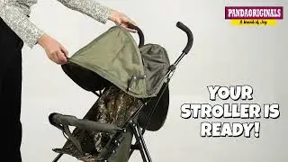 Luna Buggy Stroller Assembly Video (2 STEP ASSEMBLY)