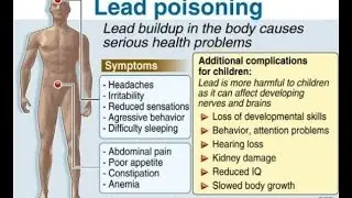 LPPT: Symptoms Associated with Lead Poisoning (Ep. 20 of 23)