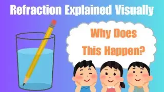 How Light Bends Through Water & Glass! Refraction Made Easy
