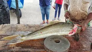 Never Seen Before|Huge Cobia Fish Chopping | Fastest Cutting Styles Cobia Fish|
