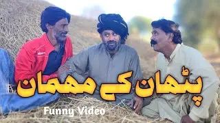 Hindi Dubbed Short Video Pathan's Guest Baboo! 🤣 | Hilarious Pathan Comedy Skit | Urdu Comedy