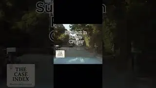 Body Cam Captures Deputy Assault and Stolen Patrol Vehicle