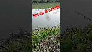 💥🔥💥 Il set up che uso per pescare in canale 🔥💥🔥 #carp #carpfishing #foxinternational #shimano
