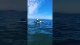Paddle board electric propulsion, fishing artifact#fishing #supboard #supfishing