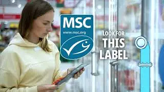 The MSC Is Your Solution For Finding Sustainable Seafood 🔎