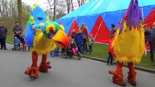 Squawk