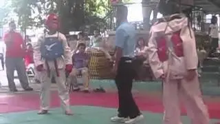 diegx.part1.@taek2010.wmv