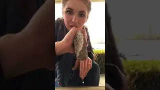 BIOLOGICAL ANTHROPOLOGY OLDOWAN TOOL TECHNIQUE