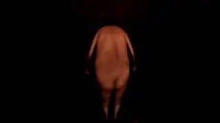 2  Artist LEE Tal Video Art Saemaul UndongNew Community Movement