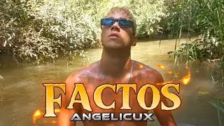 ANGELICUX - Factos (Video Oficial)