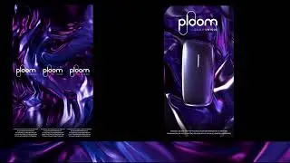 Neversea Festival - Ploom Screens