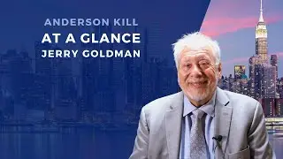 At A Glance // Jerry Goldman // Anderson Kill