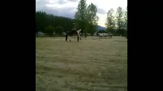 Spectacle ai centre equestre S&eacute;bastien Richard