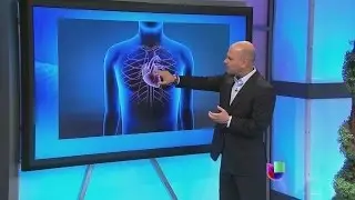 Los efectos de la falta del sue&ntilde;o -- Noticiero Univisi&oacute;n