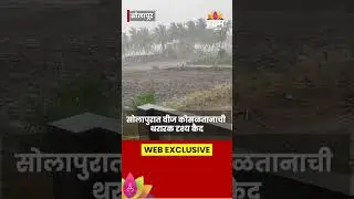 #shorts Solapur Lightning Strike | सोलापुरात कोसळली वीज | SAAM TV