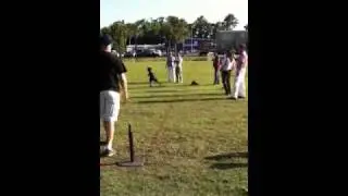 Juwan Lee's Homerun
