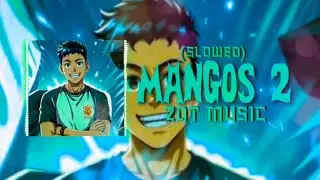ZDT Music - MANGOS 2 (Slowed)