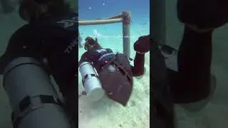 TheScubaGirl side mount diving video xdeep harness tech diving recreational , training dive , shoot