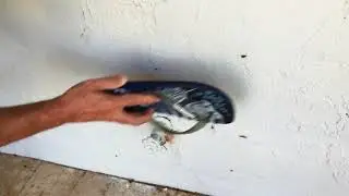 BROKEN DRAIN PIPES LEADS TO AMERICAN ROACH INFESTATION Part 1