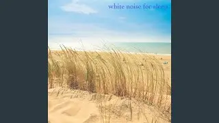 Slow Waves At The Beach - Loopable With No Fade