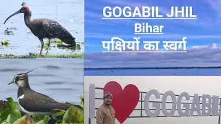 Bihar's Most Beautiful Place | Gogabil Jhil | Katihar   | Manihari पक्षियों का स्वर्ग बिहार #bihar