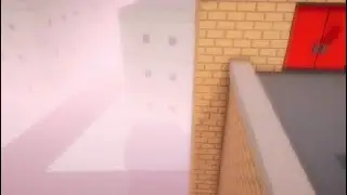 Bird Brawl